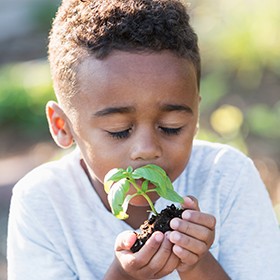 boy + plant boy + plant